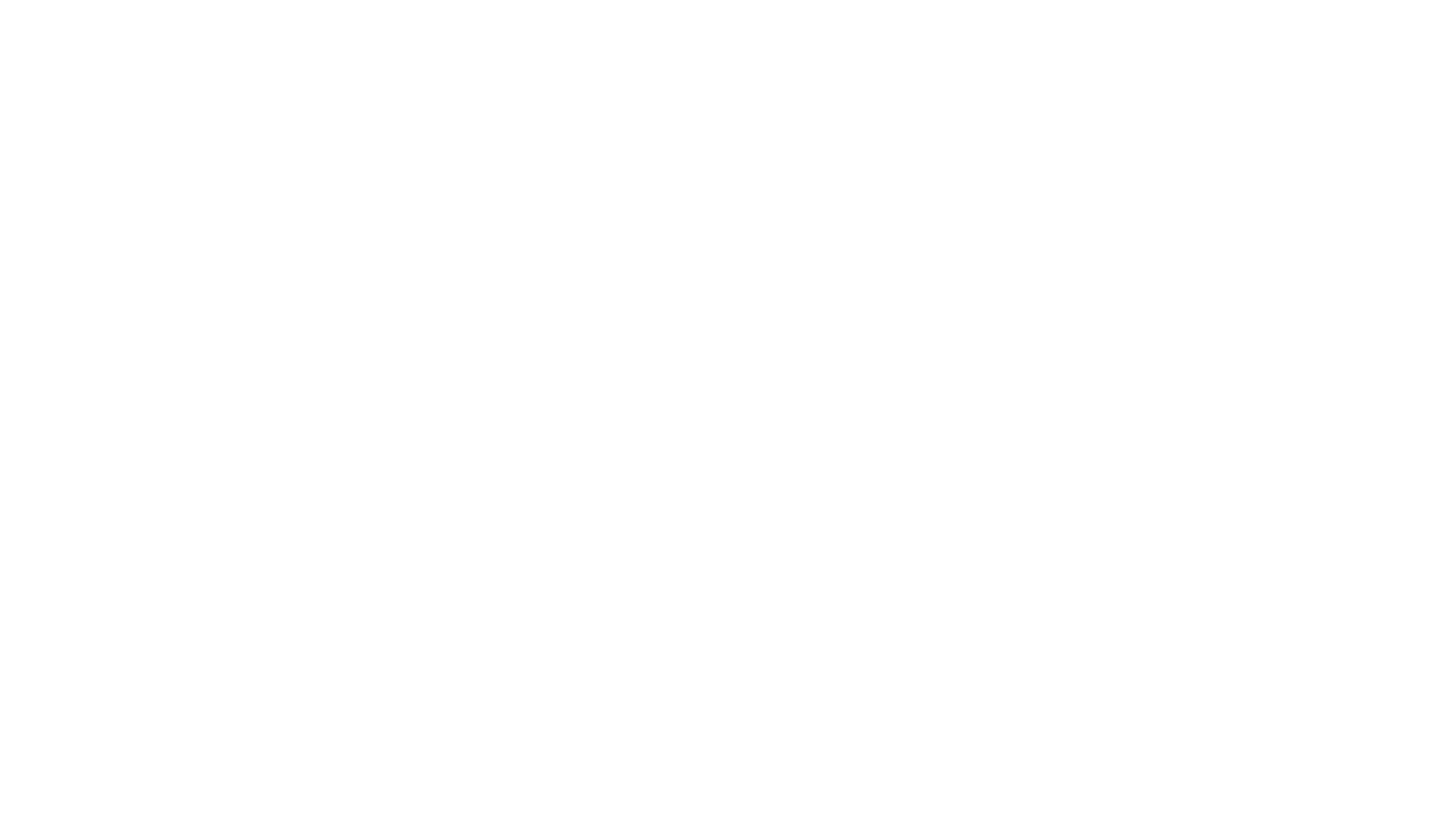 zoom logo white